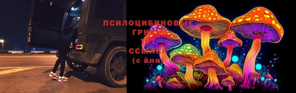 мдпв Балабаново